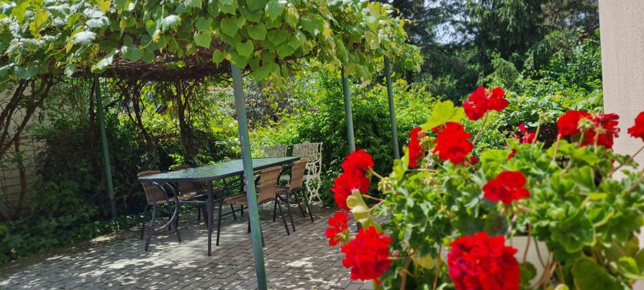 Lugas Apartman Miskolctapolca 2 Haloszoba Dezsa Es Jakuzzi Koezel A Barlangfuerdohoez Exteriör bild